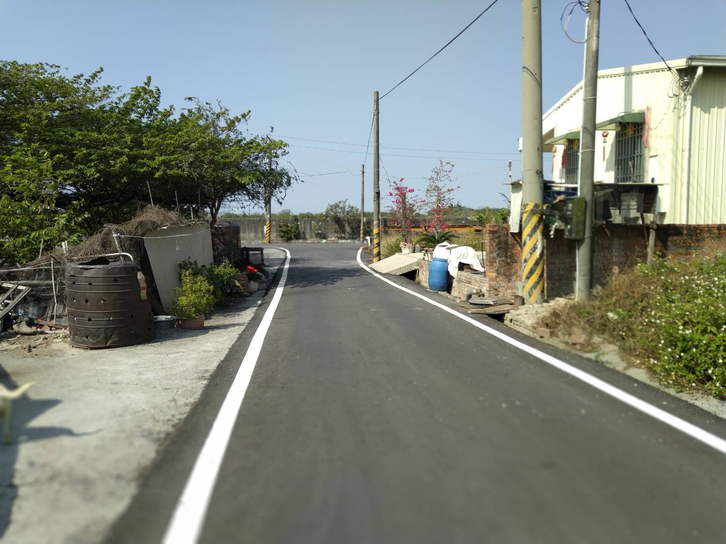 學甲區-德安寮超低價建地